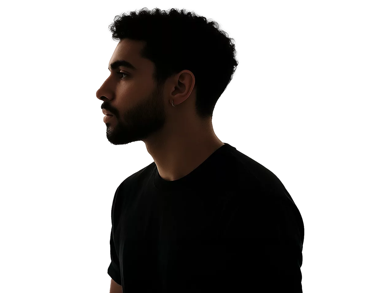 wordpress modern themes